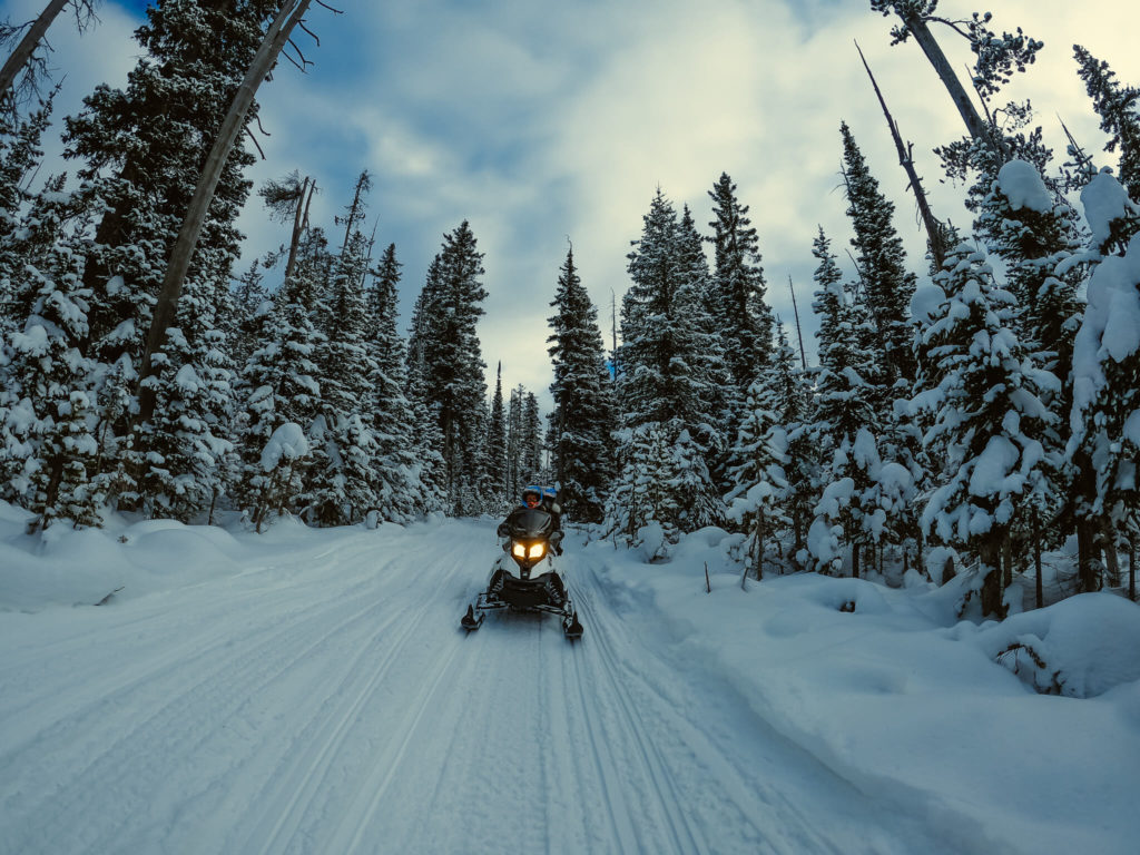 snowmobiling in West Yellowstone
