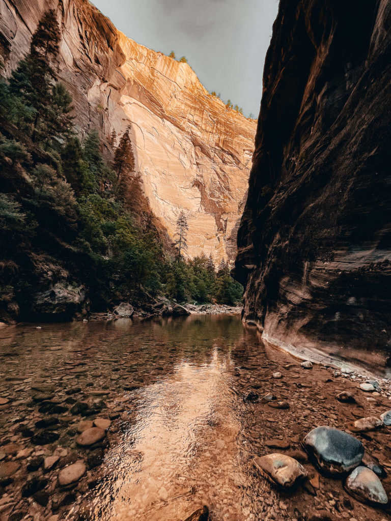 The Narrows hike in Zion National Park